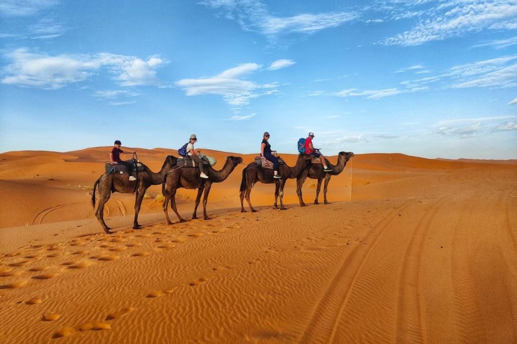 Camel Trekking