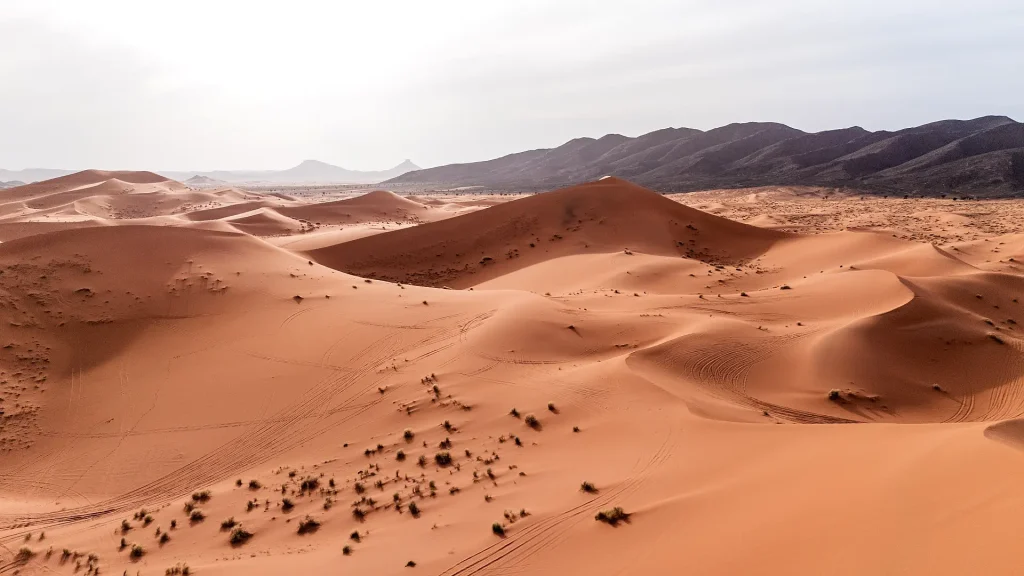 ouzina desert